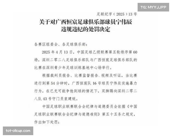 公安部、体育总局、中国足协联合处罚9家俱乐部历史违规行为 公安部、体育总局、中国足协联合处罚9家俱乐部历史违规行为
